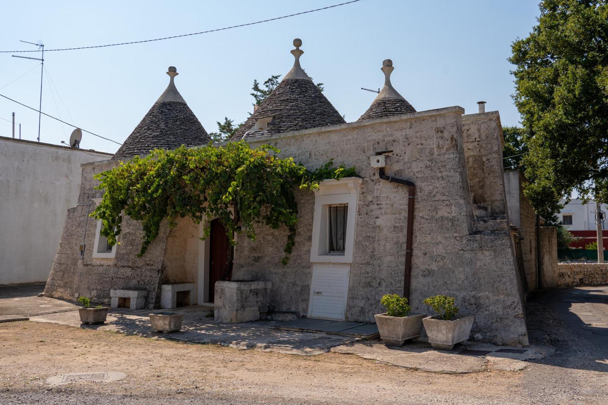 Trullo Vacanze Di Cumma Rosa ألبيروبيللو المظهر الخارجي الصورة