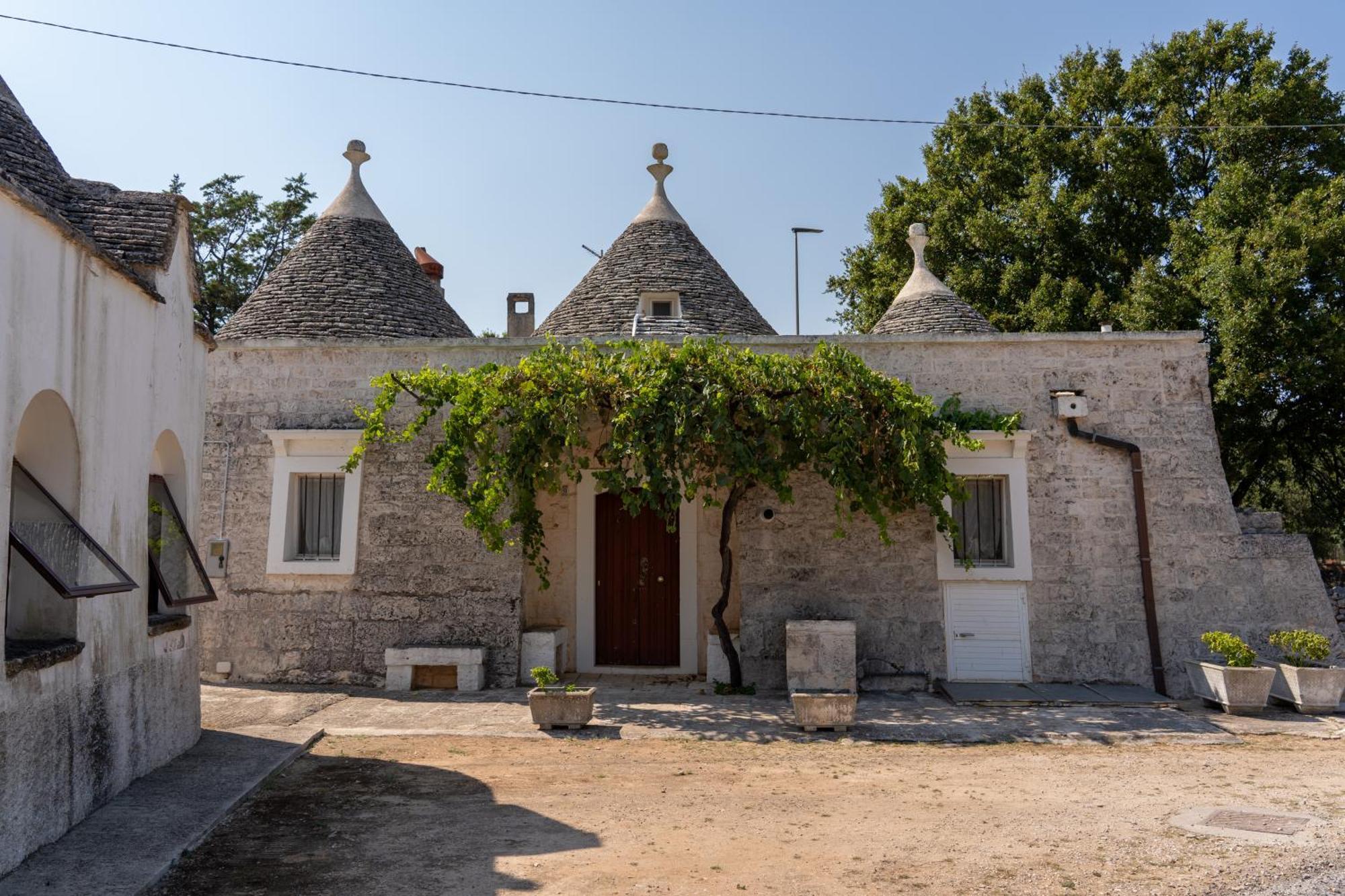 Trullo Vacanze Di Cumma Rosa ألبيروبيللو المظهر الخارجي الصورة