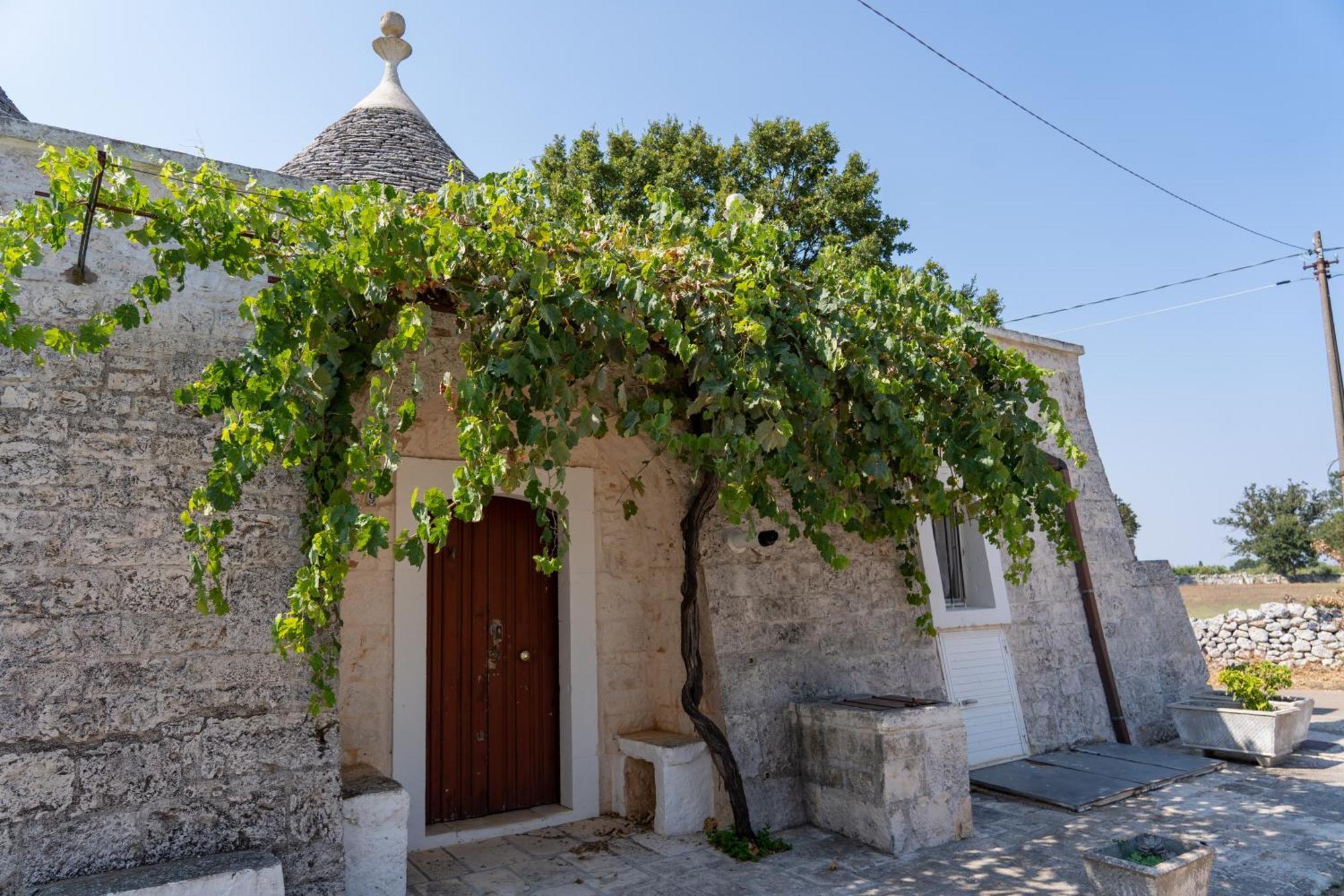 Trullo Vacanze Di Cumma Rosa ألبيروبيللو المظهر الخارجي الصورة